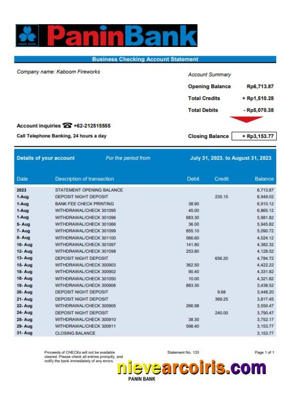 Panin Bank organization checking account statement